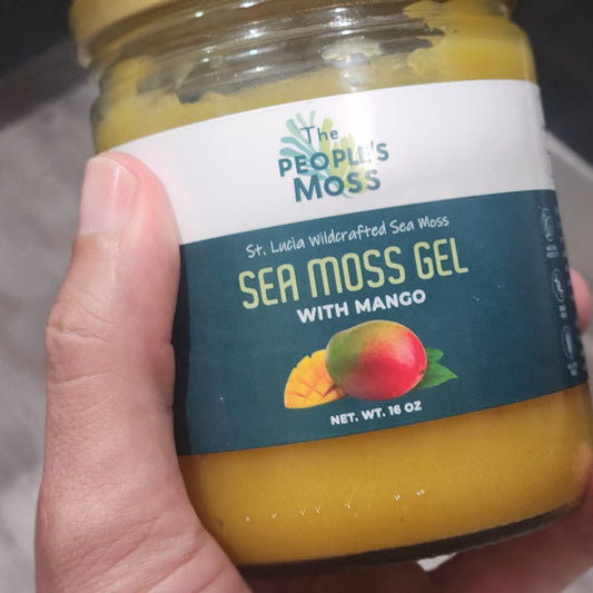 Trying Sea Moss Gel -